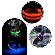 Cargar imagen en el visor de la galería, Collar LED para mascotas recargable USB
